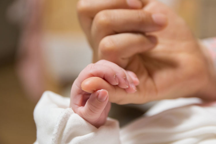 Cropped hand of baby holding little finger