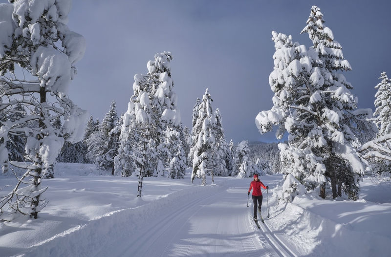 Senior woman skiing over snow path in forest