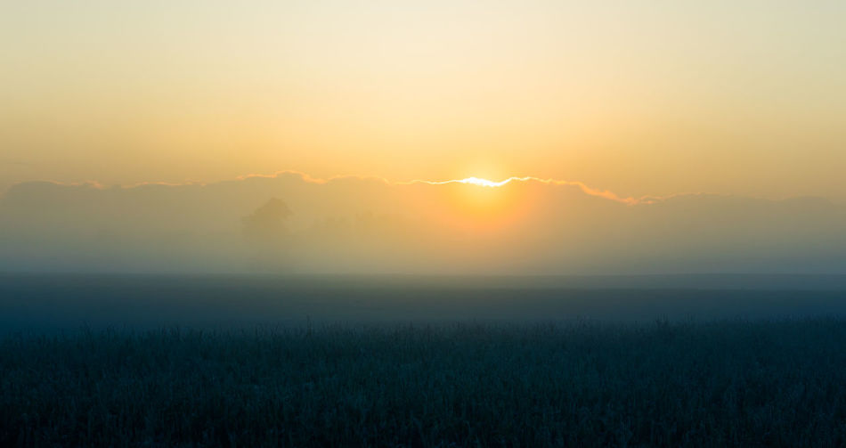 A minimalist landscape of a misty sunrise in summer with a far horizon. summertime scenery.