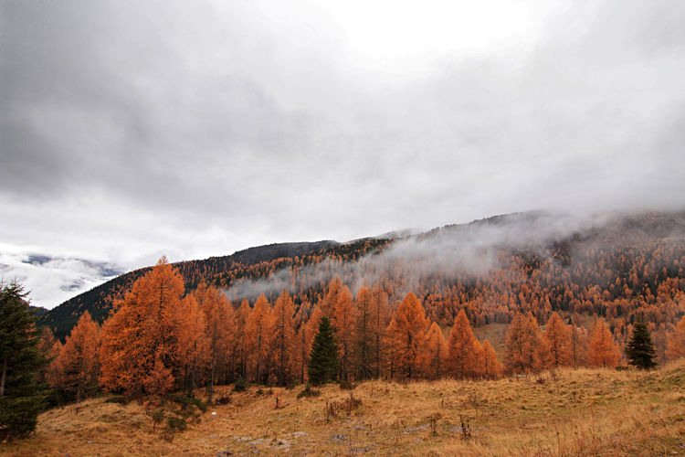Autumn alpine landscape. dolomites of italy. scenic view of landscape against sky.
