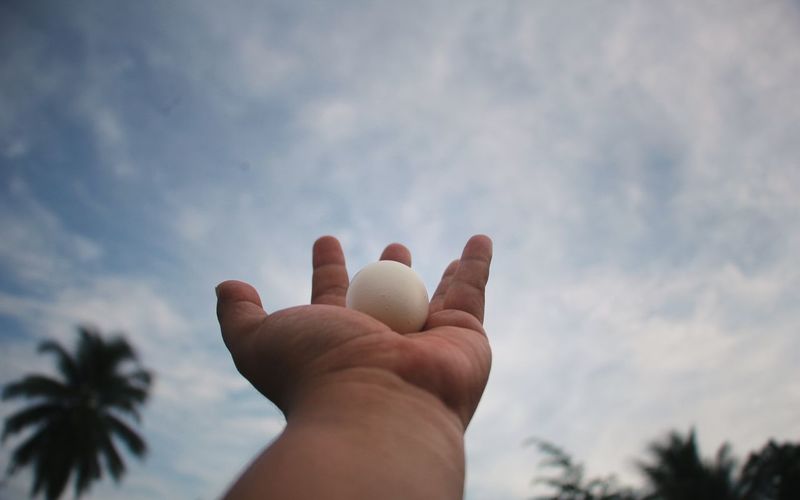Cropped hand of person holding egg against cloudy sky
