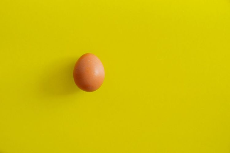High angle view of egg against yellow background