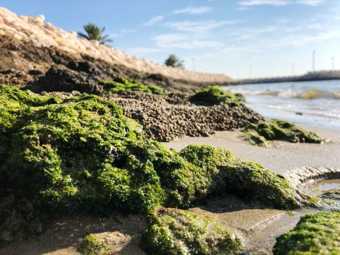 Scenic view of rocky beach against sky