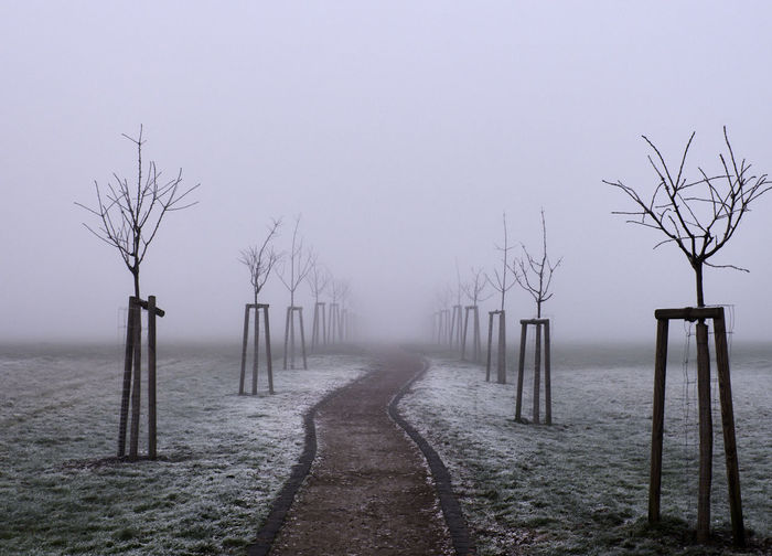 Bare trees on landscape against sky during foggy weather