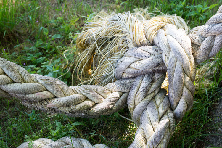 Close-up of rope tied on field