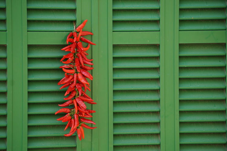 Red chili peppers hanging on green window 