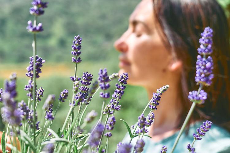 Defocused happy face of woman behind blooming scented organic lavender flowers