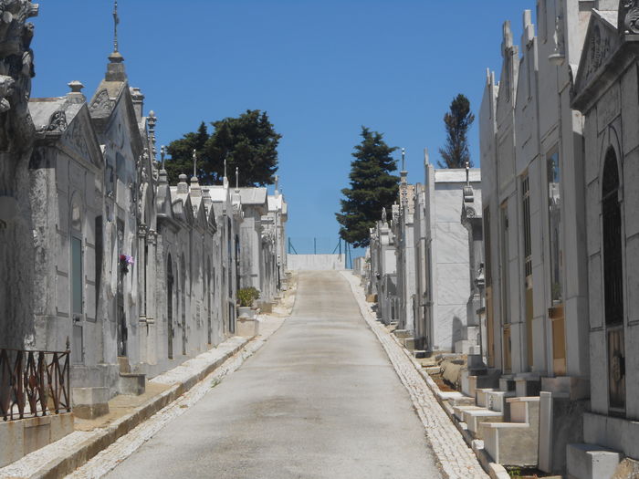 Low angle view of footpath through cemetery