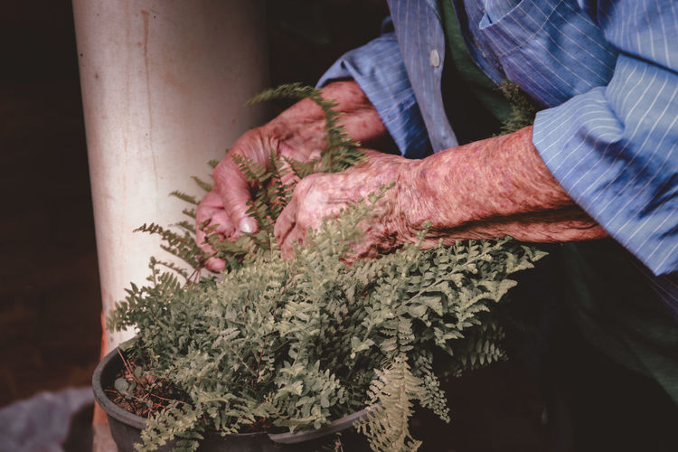 Midsection of man holding plant