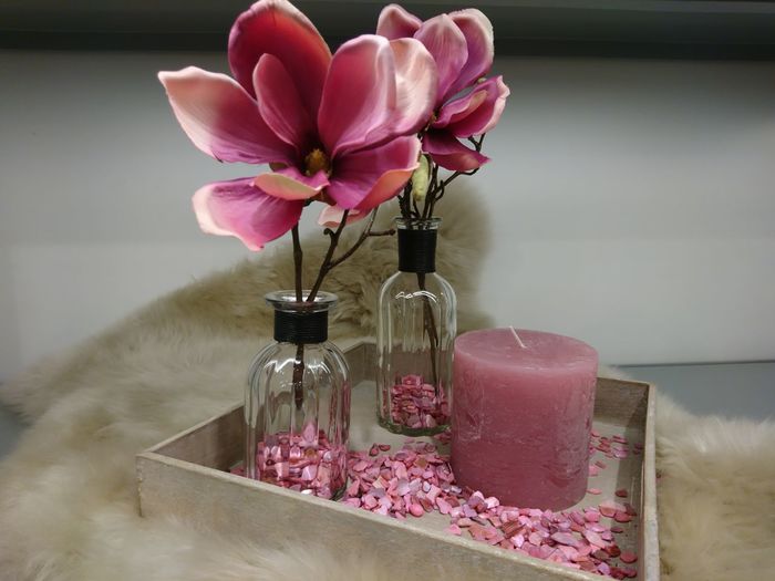 Close-up of pink orchid flowers in vase on table