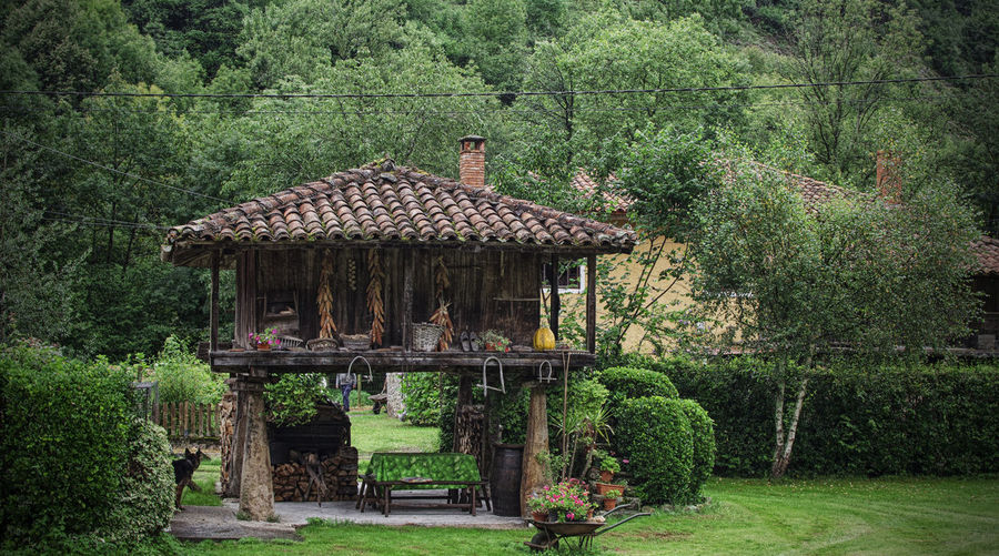 Horreo, old wooden building used as elevated granary. cangas de onis, asturias, spain
