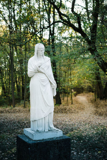 Old white madonna in the forest