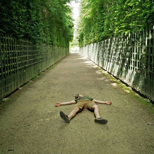 Full length of man lying on footpath amidst trees at park