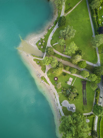 High angle view of lake waterfront with green gras and trees