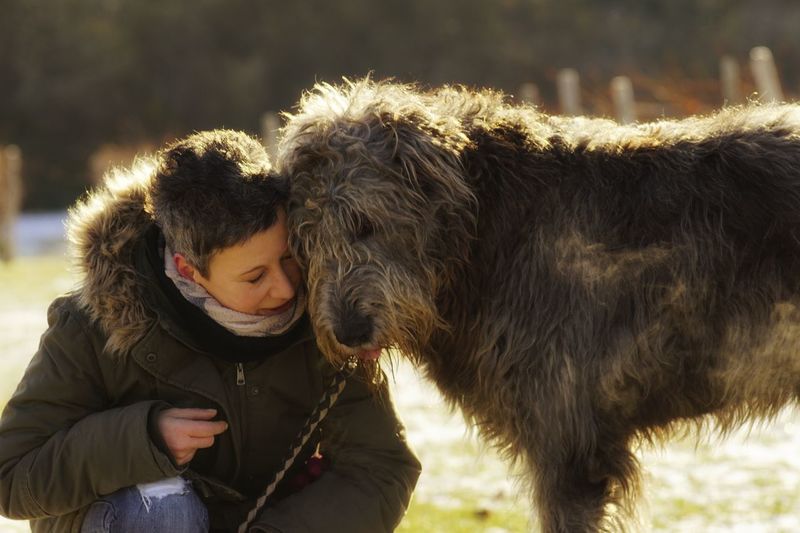 Close-up of woman with irish wolfhound at park on sunny day