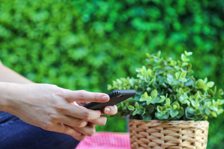 Cropped image of person using phone by plant