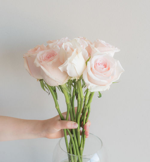 Close-up of rose bouquet against white background