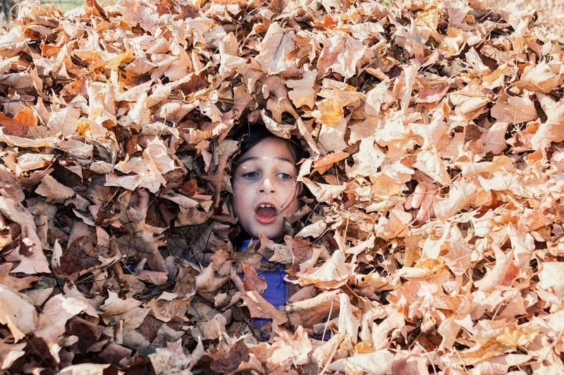 Cute girl amidst dry fallen leaves