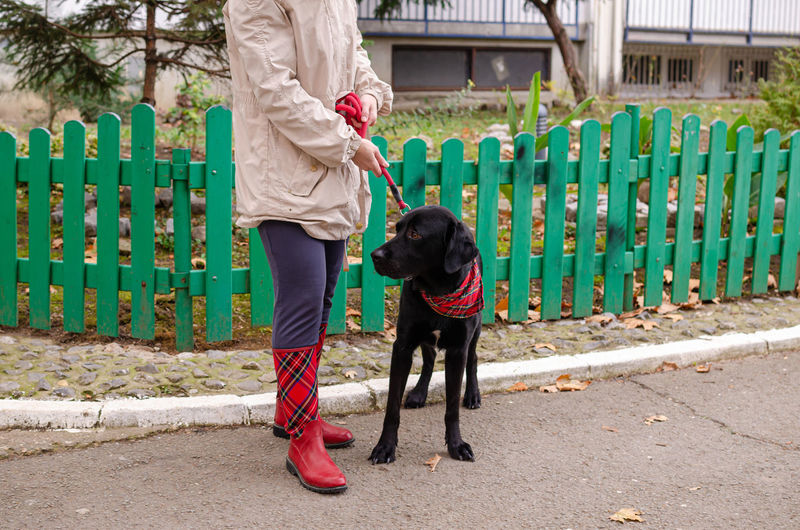 Woman and her big black dog - in an elegant outfit - in an autumn walk