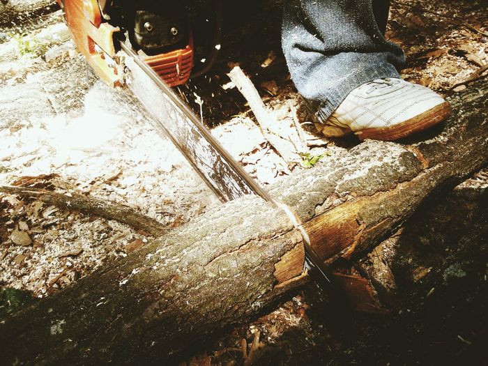 High angle view of person cutting wood with chainsaw