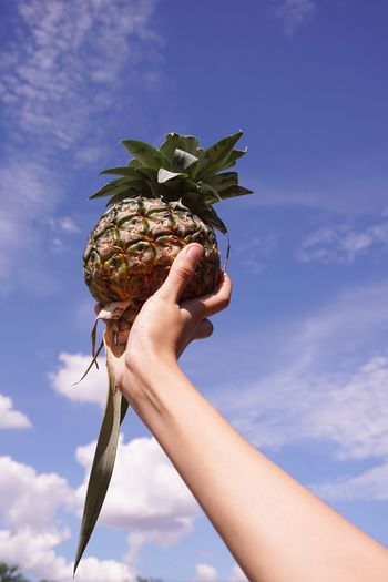 Cropped image of hand holding pineapple against blue sky