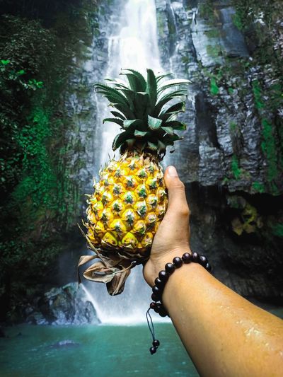 Cropped hand holding pineapple against waterfall