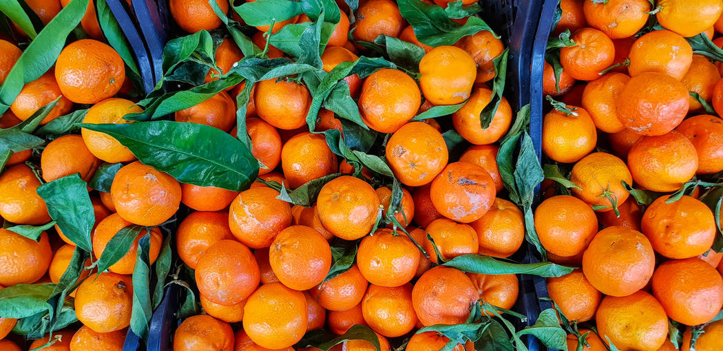 Fresh oranges for sale at a market stall