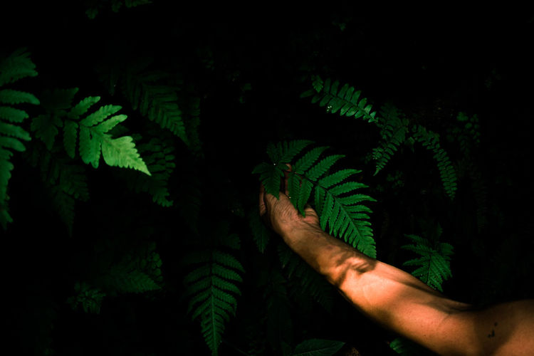 Cropped hand of person against black background