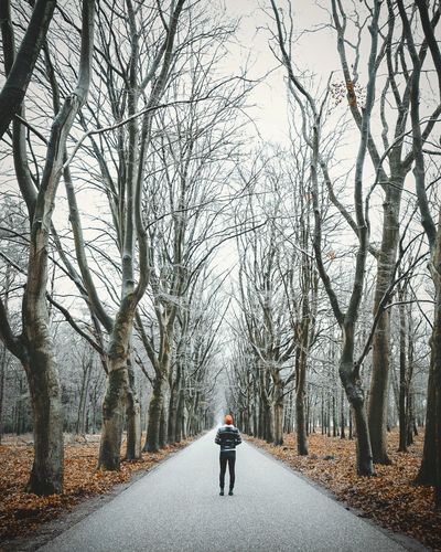 Rear view of man standing on road amidst bare trees during winter