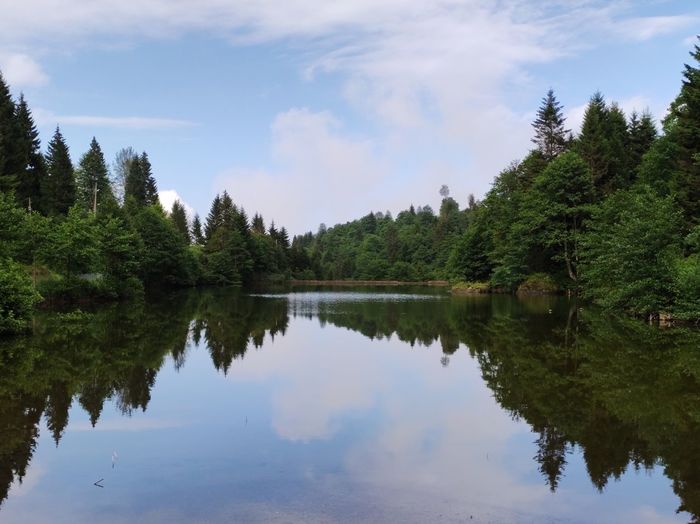 Scenic view of lake by trees against sky