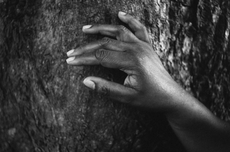 Close-up of cropped hand touching tree trunk