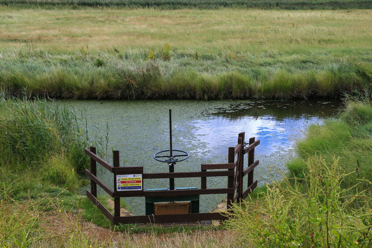 Scenic view of lake in field