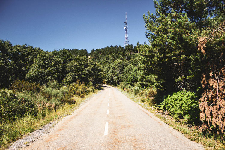 Road surrounded by forest and vegetation against blue sky