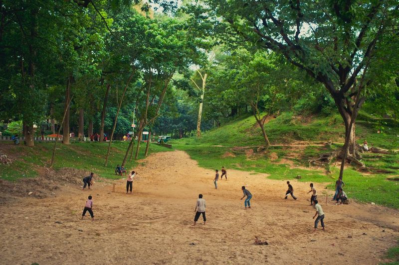 People playing cricket in park amidst trees