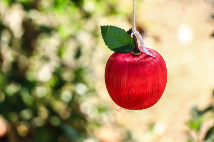 Close-up of apple shaped decoration hanging at park