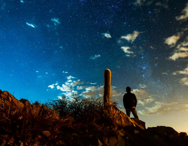 Man standing by cactus against sky at night