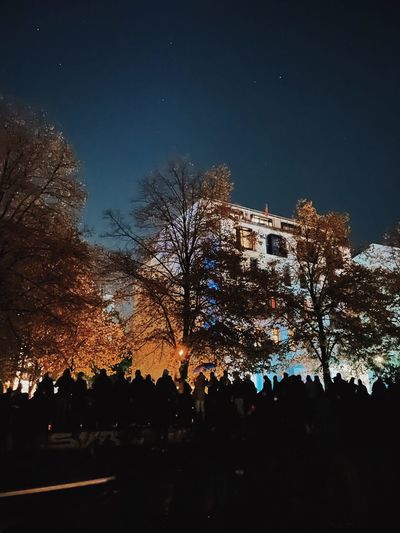 Silhouette trees and illuminated buildings against sky at night