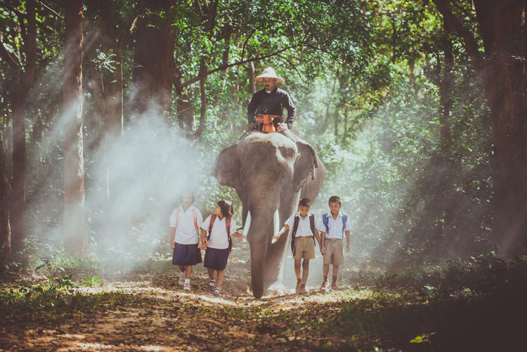 School children walking by elephant in forest