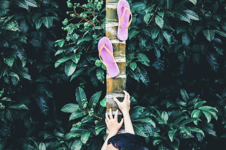 Cropped hands of boy reaching to flip-flops hanging on tree trunk