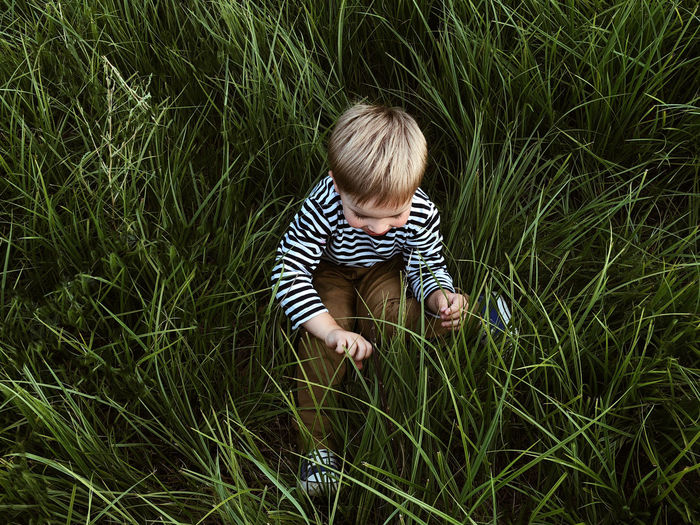Little boy is sitting in a green summer grass