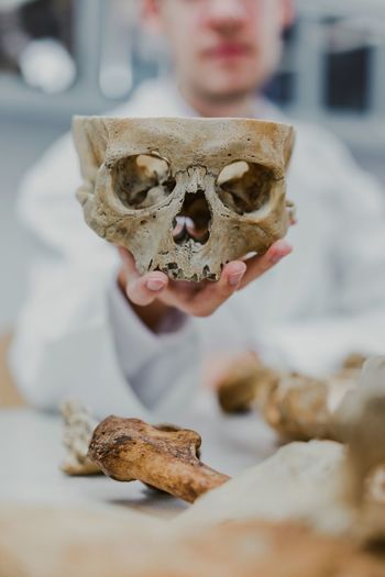 Close-up of man holding human skull