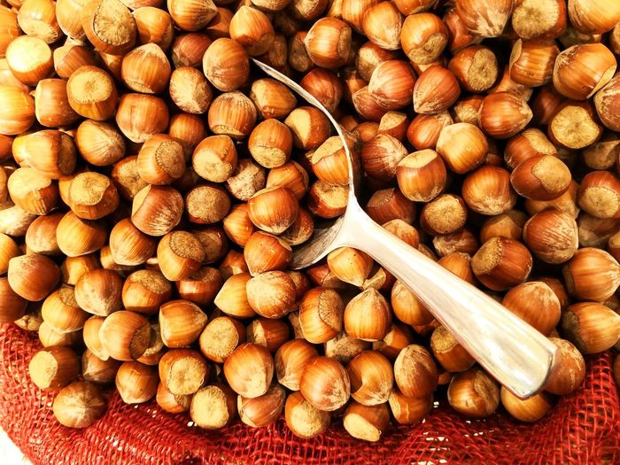 Hazelnuts with scoop, directly above