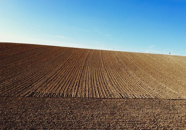 Ploughed field against sky