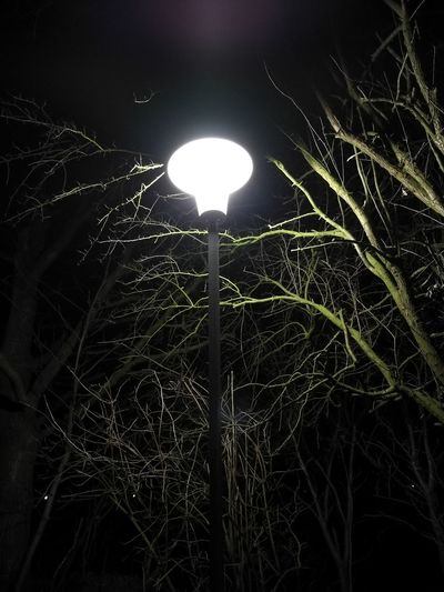Low angle view of illuminated light bulb against sky at night