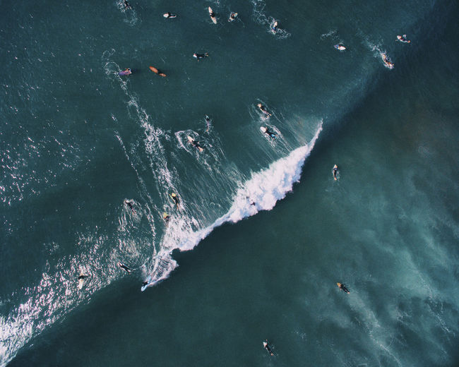 High angle view of people surfing in sea