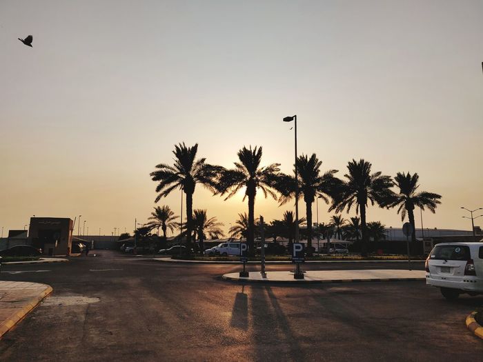 Silhouette of palm trees against sky during sunset