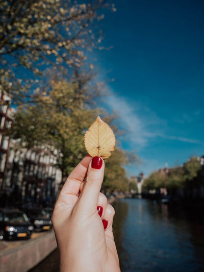 Close-up of hand holding leaf against sky on sunny day