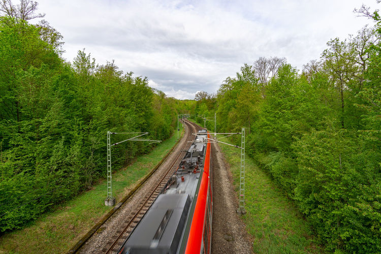 Railroad tracks on road amidst trees against sky