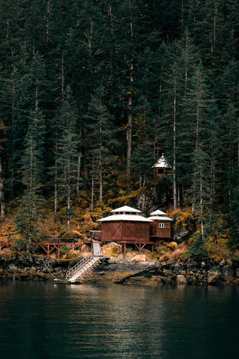 Private cabin near ocean in lush green alaskan forest