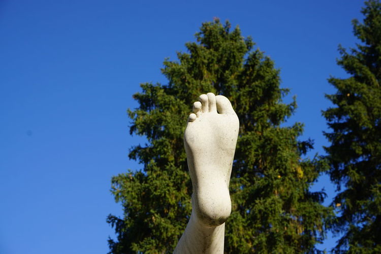 Low angle view of person hand against trees against clear blue sky